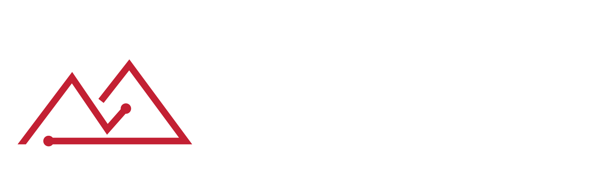 Bintel_Logo_Linear_Red and White_72.png