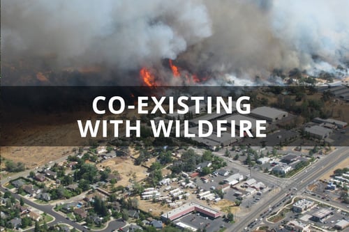 Marshall Fire Pushed Us into Wildfire Planning