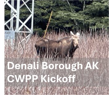 Denali Borough CWPP - Redefining Wildland