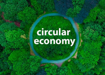 Economia_circular_bosque_inglés