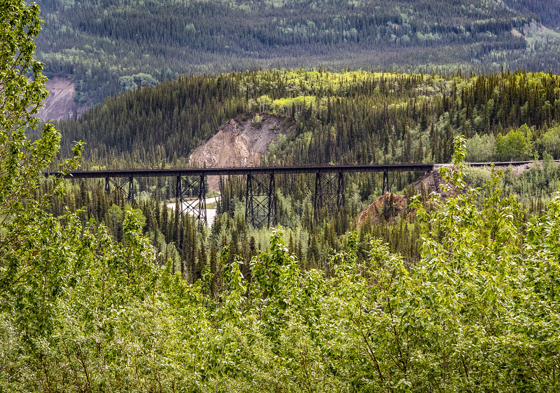 Historic railroad trestle spanning a river valley in Denali National Park, Alaska, surrounded by boreal forest