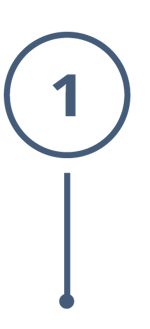 Bintel | Survey Analytics