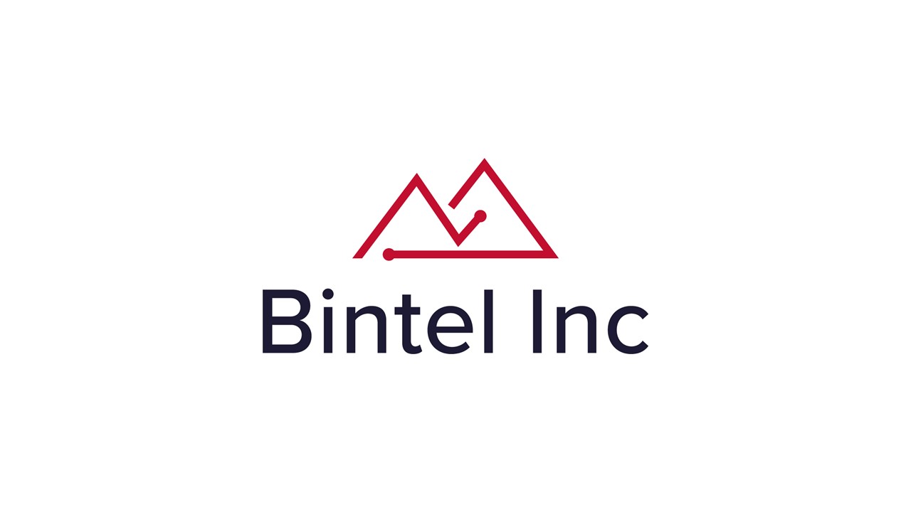 Bintel | Survey Analytics