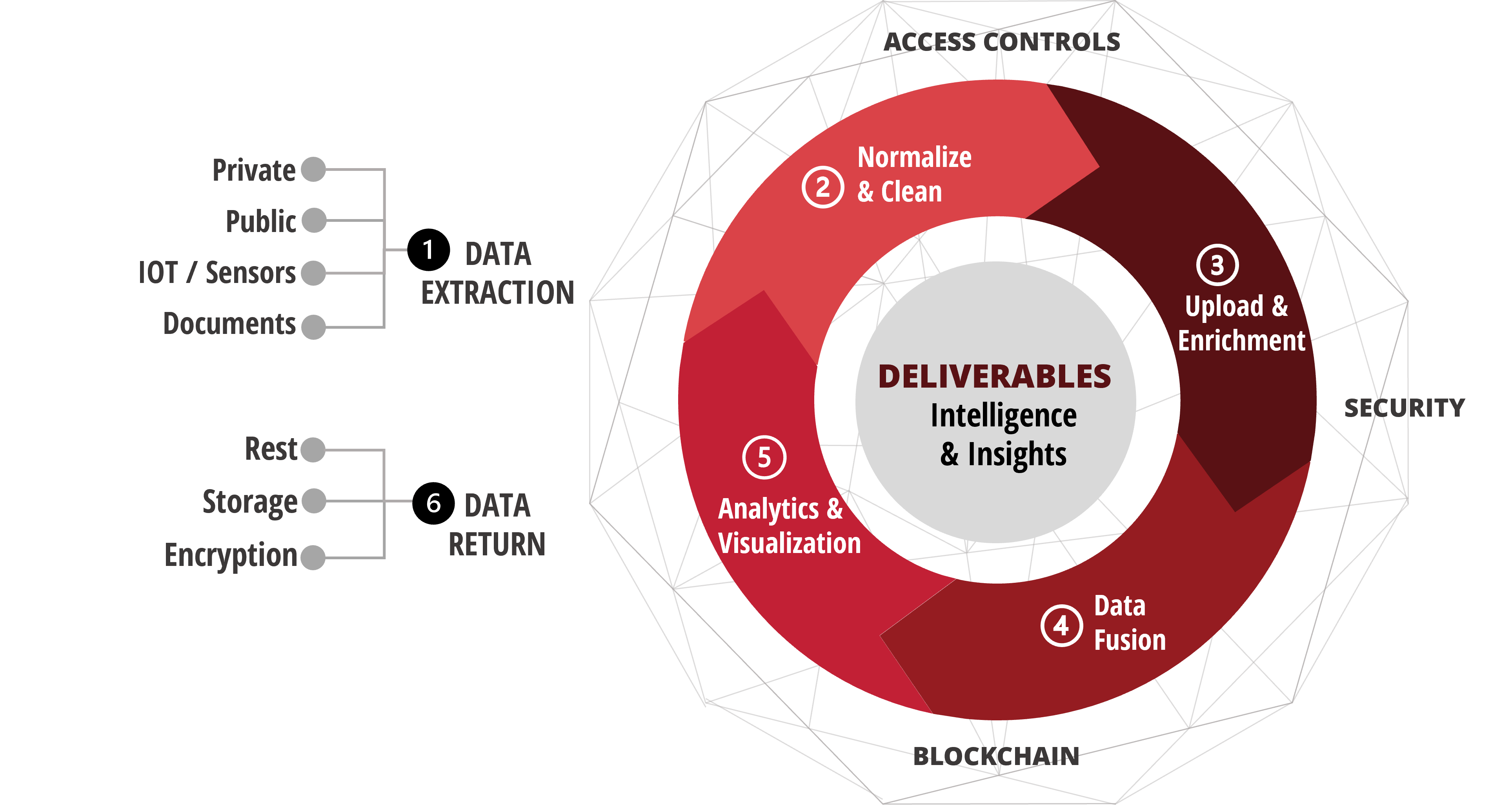 Data Lifecycle for White Background