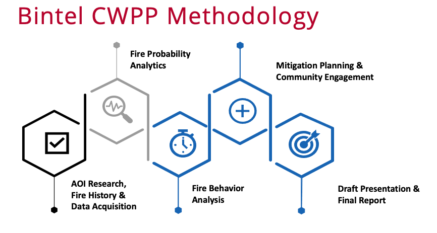 Bintel's CWPP Methodology