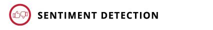 Sentiment Detection